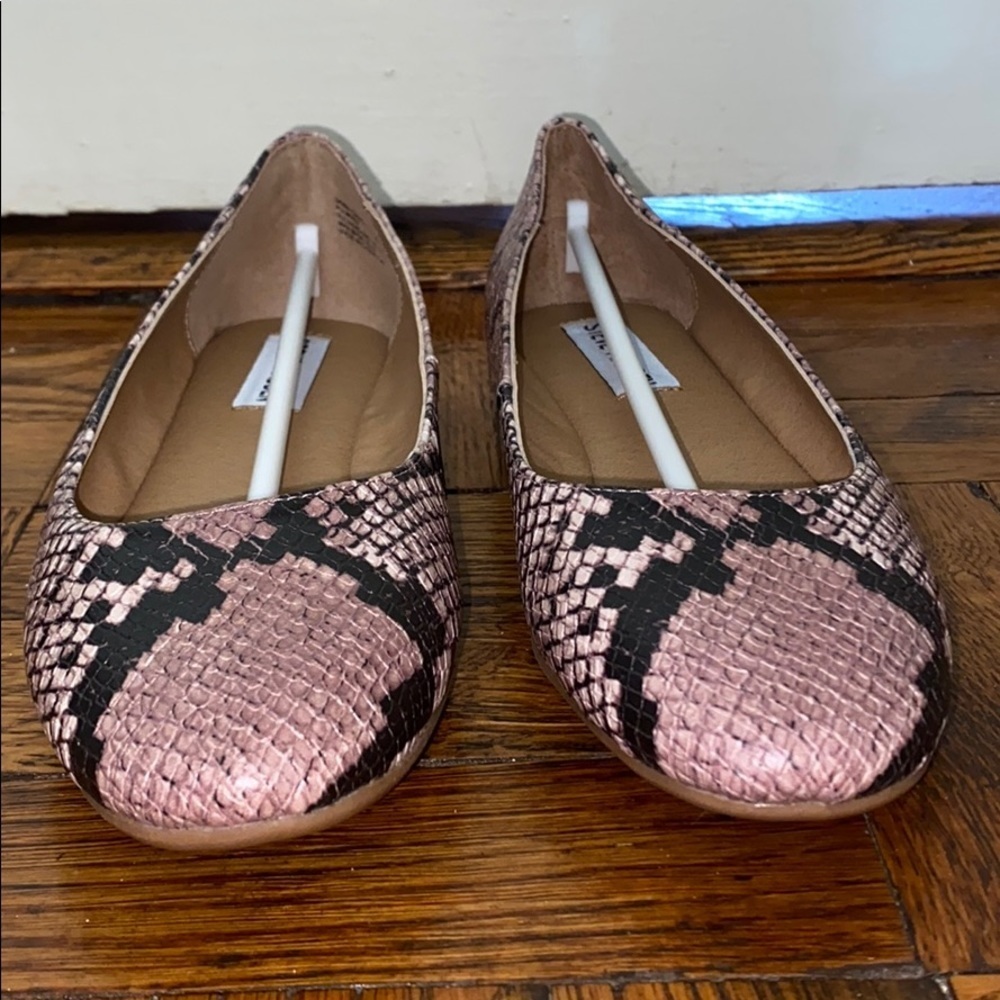 NWT Steve Madden Danni Printed Flats size: 6.5